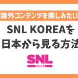 【韓国】SNL KOREAを日本から見る方法！VPN利用で韓国トレンドを一足先に楽しめる