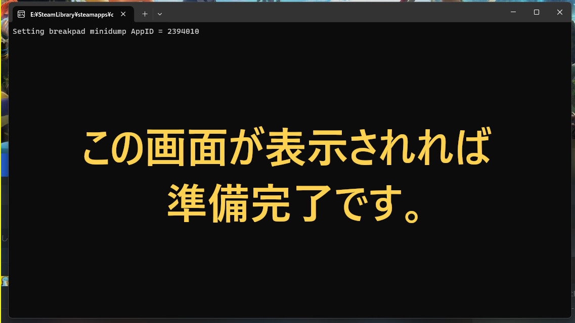 コンソール画面起動、表示される